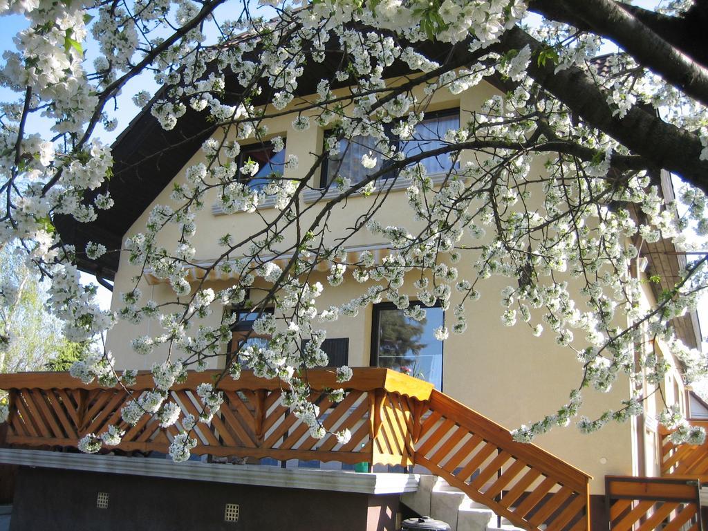 St. Michael Apartman Budapest Bagian luar foto